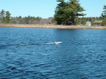 Enlarge photo 248