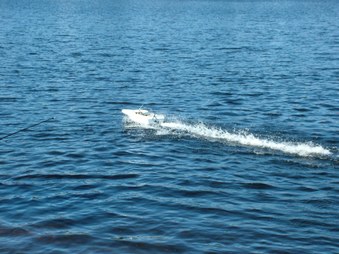 Enlarge photo 255