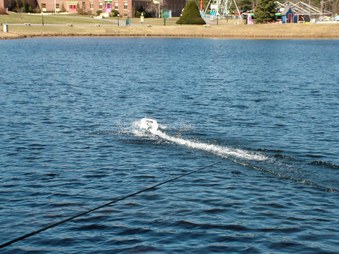 Enlarge photo 256