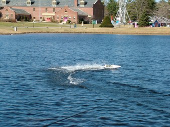 Enlarge photo 257