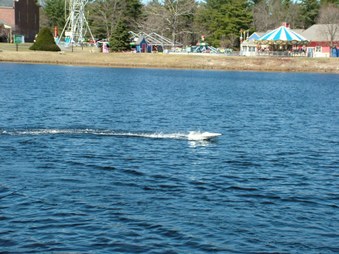 Enlarge photo 258