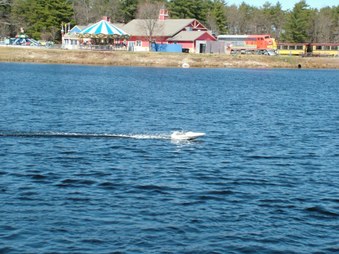Enlarge photo 259