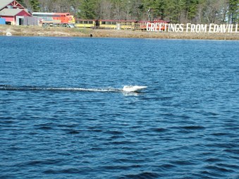 Enlarge photo 260