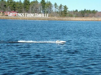 Enlarge photo 261
