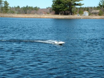 Enlarge photo 262