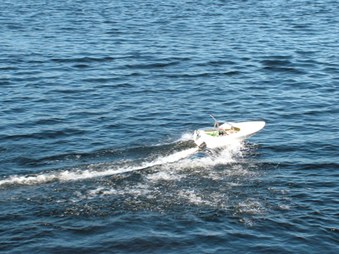 Enlarge photo 270