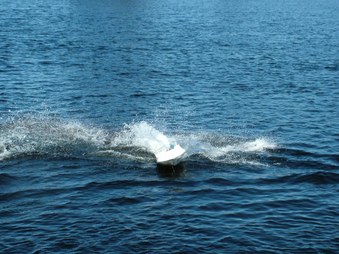 Enlarge photo 271