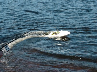 Enlarge photo 279