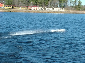 Enlarge photo 284