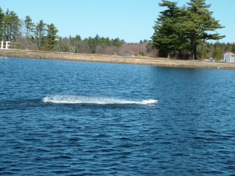Enlarge photo 285