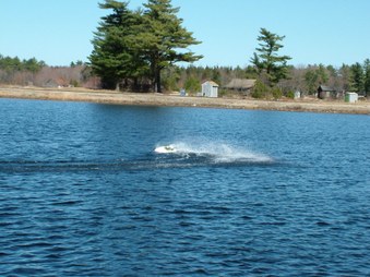Enlarge photo 286