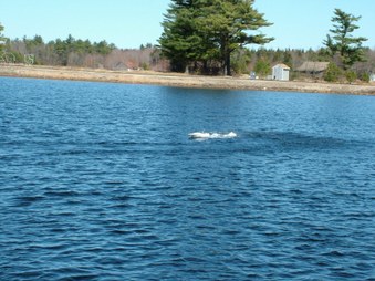 Enlarge photo 287
