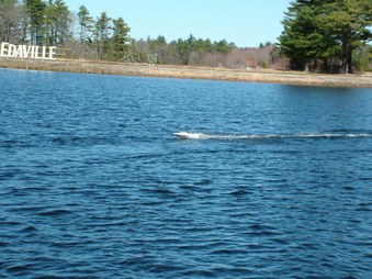 Enlarge photo 288