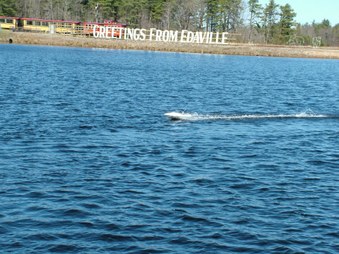 Enlarge photo 289