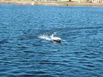 Enlarge photo 291