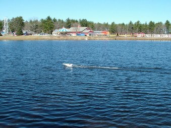 Enlarge photo 301