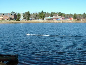 Enlarge photo 302