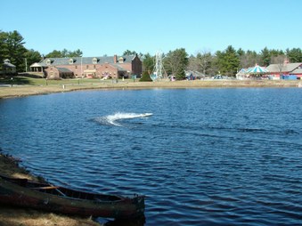 Enlarge photo 304