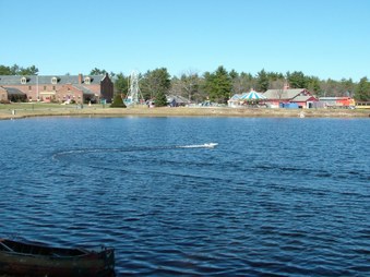 Enlarge photo 305