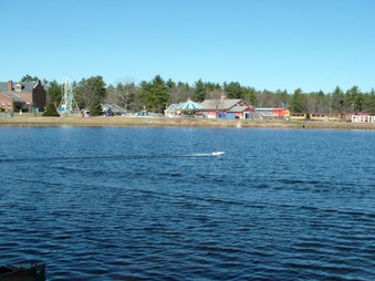 Enlarge photo 306