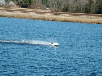 Enlarge photo 307
