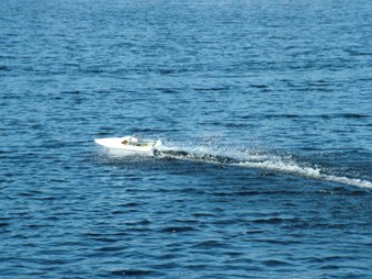 Enlarge photo 311