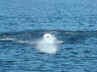 Enlarge photo 313