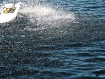 Enlarge photo 315