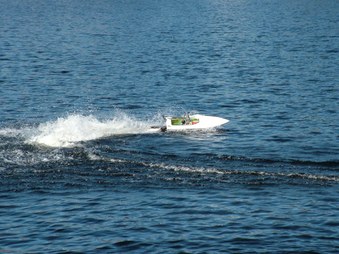 Enlarge photo 316