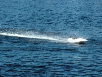 Enlarge photo 317