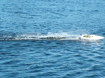 Enlarge photo 320