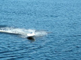 Enlarge photo 319