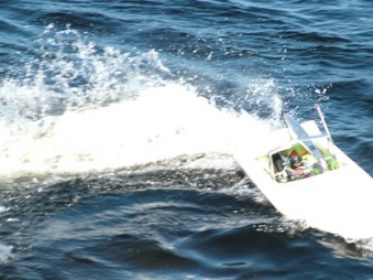 Enlarge photo 335