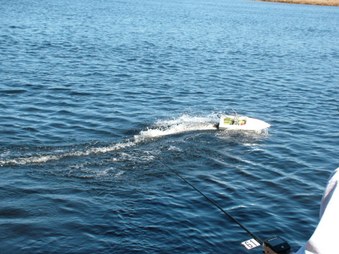 Enlarge photo 337