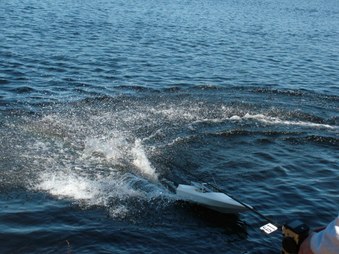Enlarge photo 339