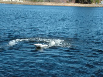Enlarge photo 343