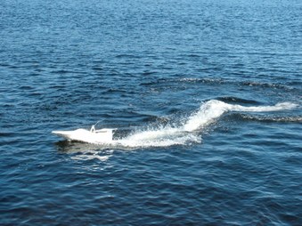 Enlarge photo 344