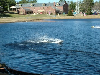 Enlarge photo 347