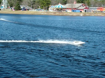 Enlarge photo 348