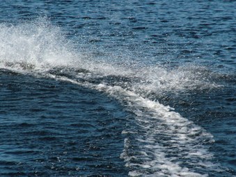 Enlarge photo 357