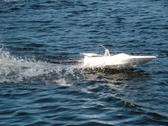 Enlarge photo 359