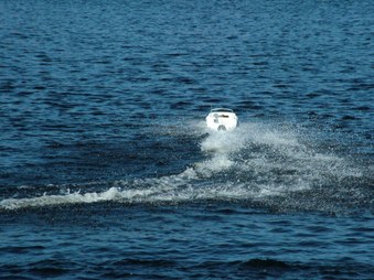 Enlarge photo 364