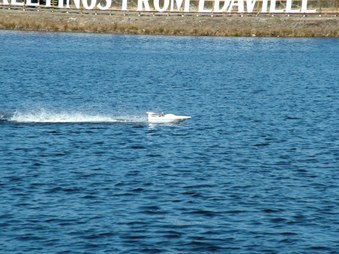Enlarge photo 366
