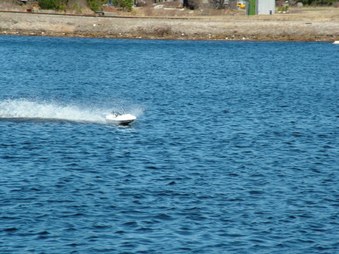 Enlarge photo 368