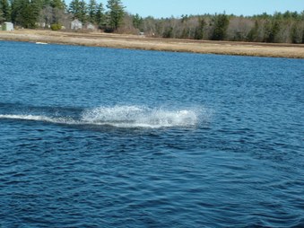 Enlarge photo 372
