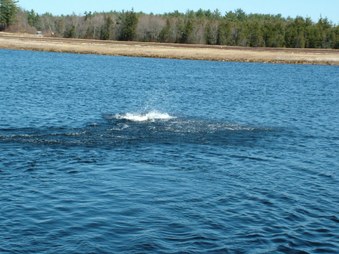 Enlarge photo 373