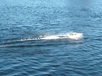 Enlarge photo 380