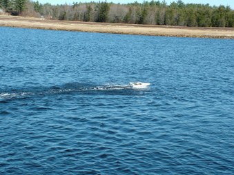 Enlarge photo 382