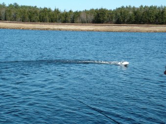Enlarge photo 384