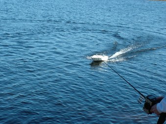 Enlarge photo 387